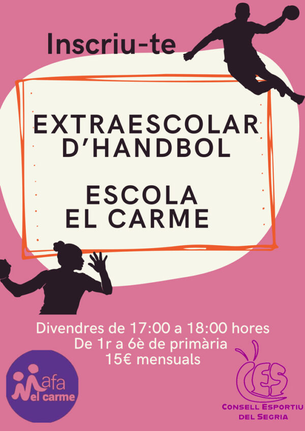 Extraescolars d'Handbol Escola Tonnuci
