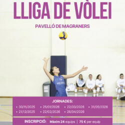 Lliga de Vòlei