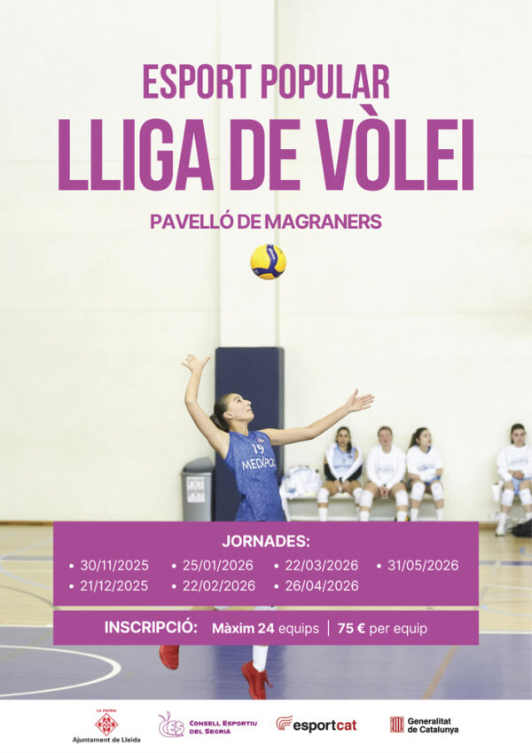 Lliga de Vòlei