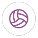 Icona Voleibol